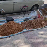 اجیل وخشکبار هورامان|حراج|بیجار, |دیوار