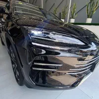 بی وای دی سانگ پلاس (گودرزی)