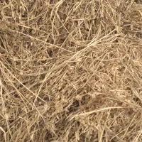 فروش یونجه مرغوب