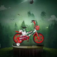 ۰۰۱نمایندگی اصلی دوچرخه سونیک ۱۲،۱۶ ضمانتدار