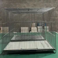 قفس پرنده و لوازم مربوط|لوازم جانبی حیوانات|محلات, |دیوار