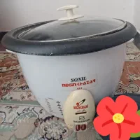 پلوپز ده نفره  کارکرده