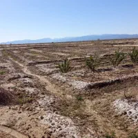 فروش‌یازده‌ و نیم ساعت‌‌آب‌ودرخت‌درشهرستان‌اسفدن‌ف