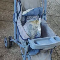 کالسکه و روروک