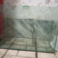 اکواریوم با وسایل  مفت مفت