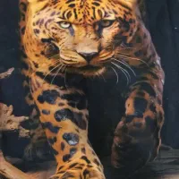 پارچه طرح دار