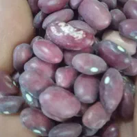 برنج لنجان وحبوبات|خوردنی و آشامیدنی|ایذه, |دیوار