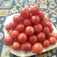 گوجه گیلاسی ترش خوشمزه