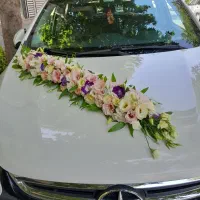 انواع ماشین عروس