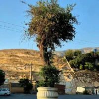 هم خونه میشم خونه ندارم توضیحات کپشن