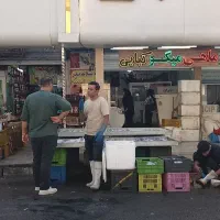 نیرو کار  جهت ماهی فروشی