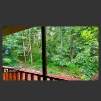 ویلا دوبلکس جنگلی