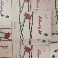 رمان خار و میخک|کتاب و مجله ادبی|قم, شهدا|دیوار