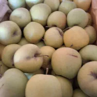 سیب سفید سبدی ۴۸