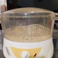 بخار پز