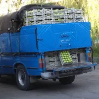 وانت سایپا مدل 93|خودرو سواری و وانت|پیرانشهر, |دیوار