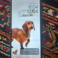 گوشی|موبایل|کرج, کمال‌شهر|دیوار