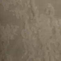 نیازمندضتمن کارمند،کارمندبازنشسته