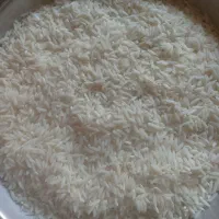 برنج طارم( پاکوتا) چرداول|خوردنی و آشامیدنی|ایلام, |دیوار