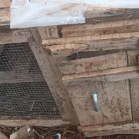 قفس چوبی مرغ و خروس بسیار بزرگ