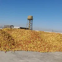کارگرساده