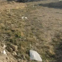 فروش زمین ۴۲۰ متری سند شش دانگ شهرک اساتید