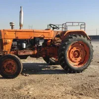 تراکتور رومانی و گاو اهن