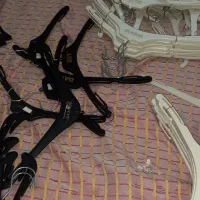 چوب کار و چوب لباسی|بندرخت و رخت‌آویز|کرج, فاز ۳ گوهردشت|دیوار