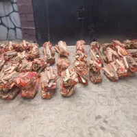 چوب،هیزم،زغال،|خدمات باغبانی و درختکاری|گلبهار, شهر جدید گلبهار|دیوار