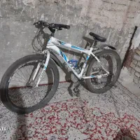 دوچرخهvivaاصلی