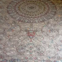قالی 12متری هزار شانه|فرش|شیراز, باغ تخت|دیوار