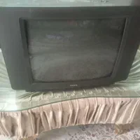تلویزیون