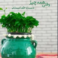 فروشنده داروهای گیاهی انحصاری