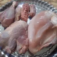 گوشت بوقلمون|خوردنی و آشامیدنی|شاهرود, |دیوار