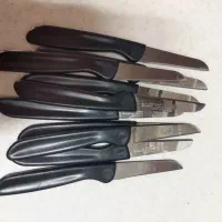 ظروف|ظروف سرو و پذیرایی|قم, دانشگاه قم|دیوار