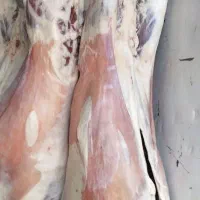 گوشت با چک معتبر