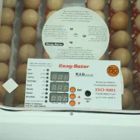 دستگاه جوجه کشی کوچک 48 تایی|لوازم جانبی حیوانات|سنندج, |دیوار