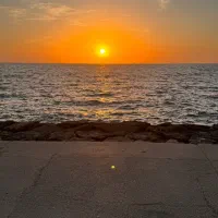 بازدید بوشهر