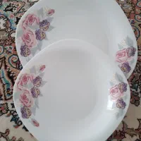 ظروف پزیرایی