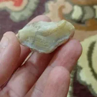 سنگ|کلکسیون اشیاء عتیقه|رشت, هلال احمر|دیوار