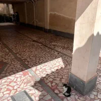 آپارتمان 86 متری/ بر اصلی رودباری/ رهن کامل|اجارهٔ آپارتمان|رشت, رودباری|دیوار