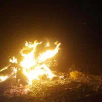 زغال  درجه  یک  موجود