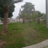 دو هکتار زمین کشاورزی