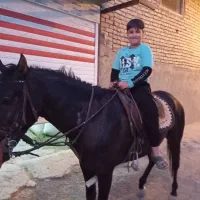 زین کامل چرم