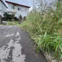 فروش زمین/ متل قو/ خیابان توسکا/شادی غربی