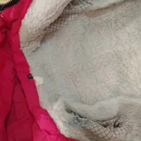 تعدادی لباس گرم بچگانه|کفش و لباس بچه|مشهد, نظام دوست|دیوار