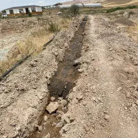 ۵ هکتار زمین|فروش دفتر صنعتی، کشاورزی، تجاری|آبیک, |دیوار