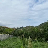 زمین ۲۹۰ متری بافت زرد با ۱۴ متر بر