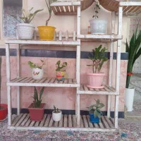 پایه گل