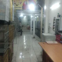 لیست قیمت برخی اجناس لوازم درارزانسرای پرنده آیهان|پرنده|خوی, |دیوار